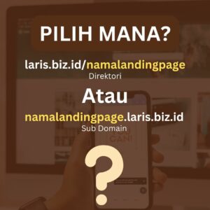 Pilih Mana: Direktori atau Subdomain untuk Landing Page?