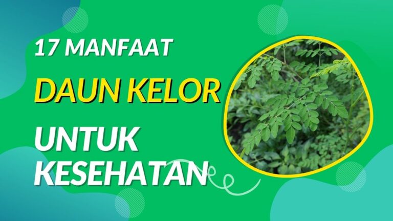 17 Manfaat Daun Kelor untuk Kesehatan Yang Luar Biasa